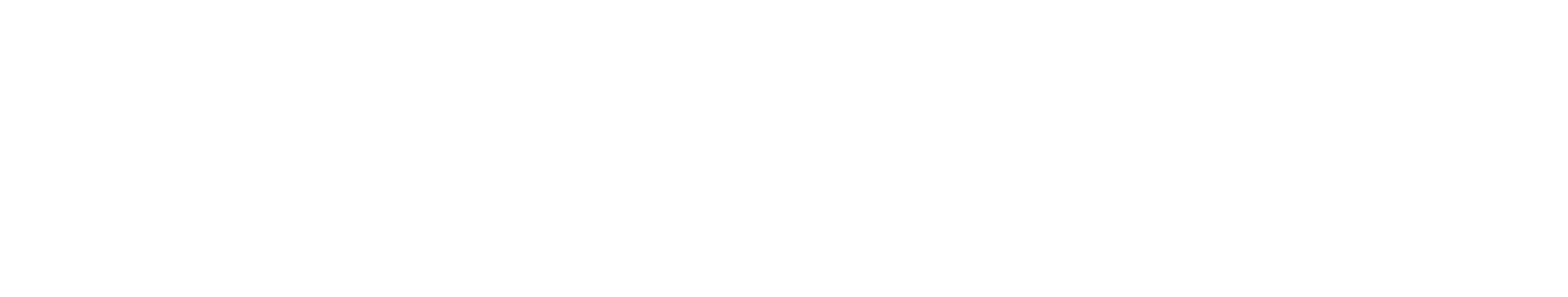 logo_2
